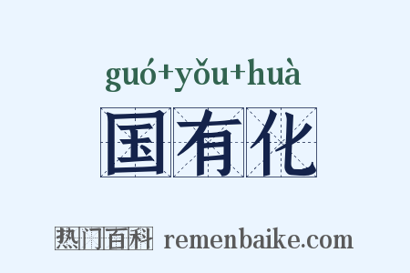 国有化是什么意思的图片